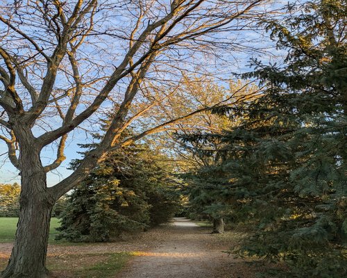 Walking calmly on a comfortable outdoor path